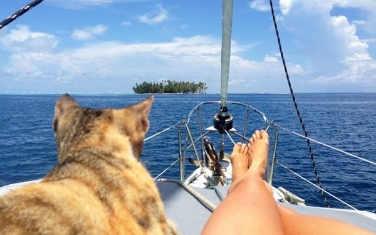 bir-tekne-bir-kedi-ve-ozgurluk
